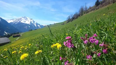 Naturlandschaft in der Nähe der Pension