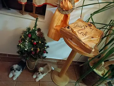 Grundriss der Unterkunft APPARTEMENT EBERHARTER Conny