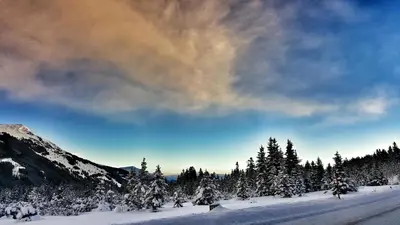 Gasthof Thanner im Winter