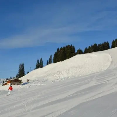 Wallegg Lodge - Alpine Premium Chalet - Ski In-Ski Out - Real Alpine Location Saalbach