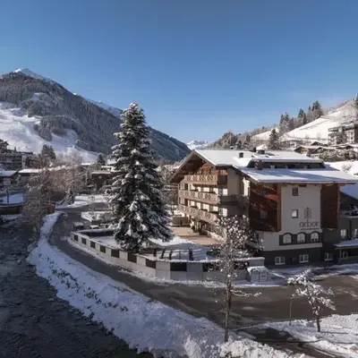ARBOR Hotel & Apartments