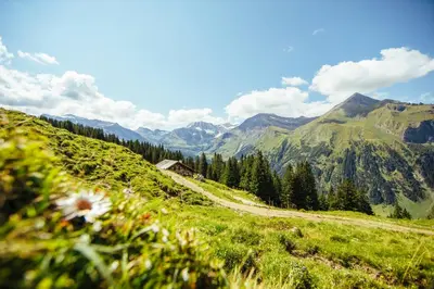 Naturlandschaft in der Nähe der Ferienwohnung