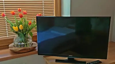 TV/Unterhaltungsangebot in der Unterkunft Apartment Prossegger