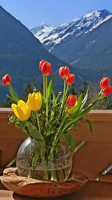 Ein allgemeiner Bergblick oder ein Berglick von der Ferienwohnung aus