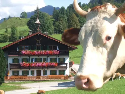 Tiere in der Ferienwohnung oder in der Nähe