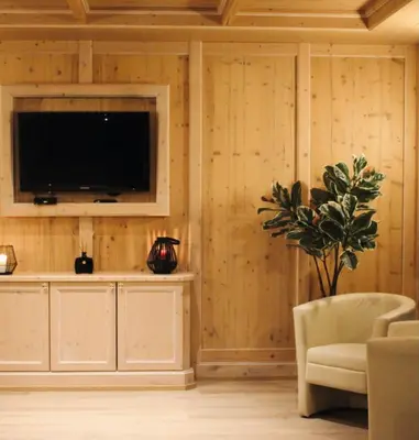 TV/Unterhaltungsangebot in der Unterkunft Hotel Auwirt Zentrum