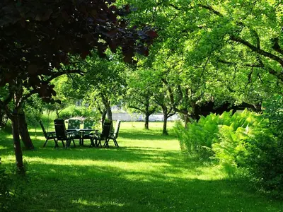 Ein Garten an der Unterkunft Pension Rainhof