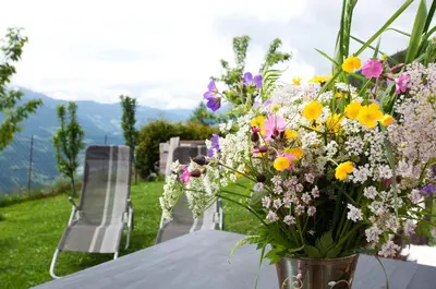 Ein Garten an der Unterkunft Ferienwohnung Hotter
