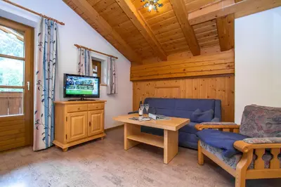 TV/Unterhaltungsangebot in der Unterkunft Ferienhaus Niedermoser