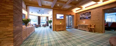 TV/Unterhaltungsangebot in der Unterkunft Hotel Bergland