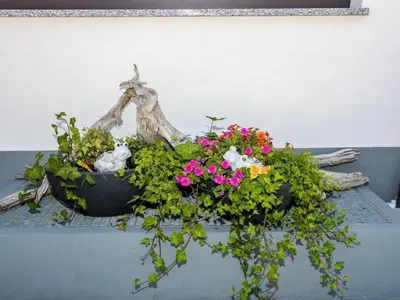 Tiere in der Ferienwohnung oder in der Nähe