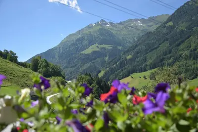 Naturlandschaft in der Nähe der Ferienwohnung
