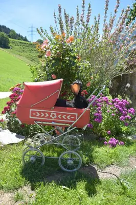 Ein Garten an der Unterkunft Löschenbrandhof