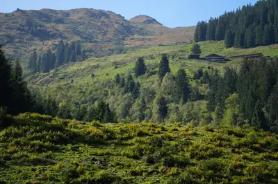 Naturlandschaft in der Nähe des Hotels