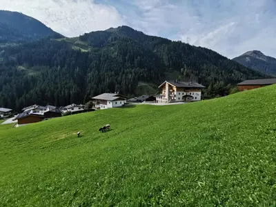Naturlandschaft in der Nähe der Ferienwohnung