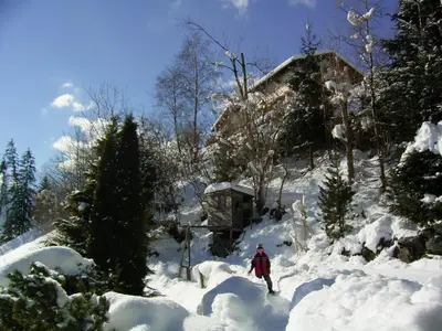 Appartement Weigl im Winter