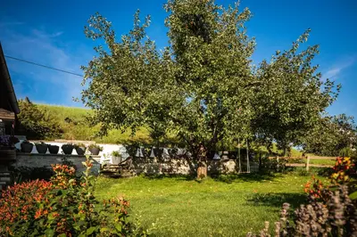 Ein Garten an der Unterkunft Haus Bichler