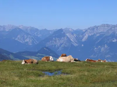 Naturlandschaft in der Nähe der Ferienwohnung