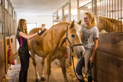 Tiere im Hotel oder in der Nähe