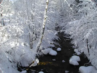 Bergheim Komfort Ferienwohnungen im Winter