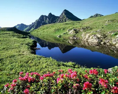 Naturlandschaft in der Nähe der Ferienwohnung