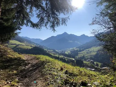 Naturlandschaft in der Nähe der Ferienwohnung