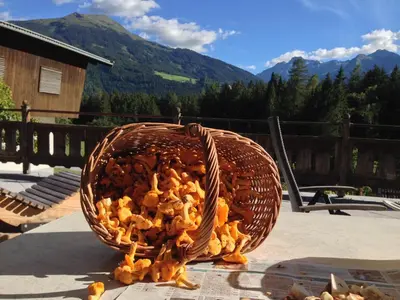Ein allgemeiner Bergblick oder ein Berglick von des Bauernhofs aus