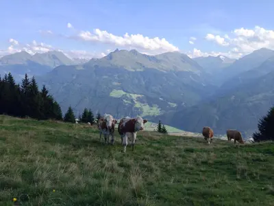 Naturlandschaft in der Nähe des Bauernhofs