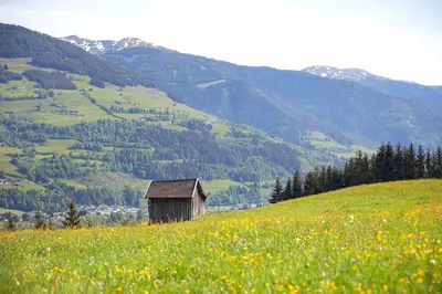 Naturlandschaft in der Nähe des Bauernhofs