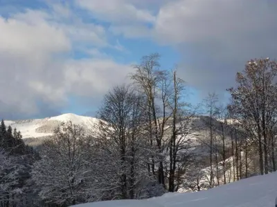 Naturlandschaft in der Nähe des Chalets