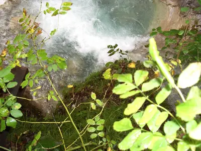 Naturlandschaft in der Nähe der Ferienwohnung