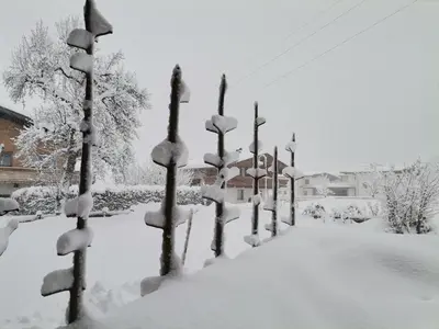 Ferienhaus Weberhof im Winter