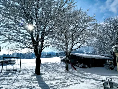 Almhof Lackner im Winter