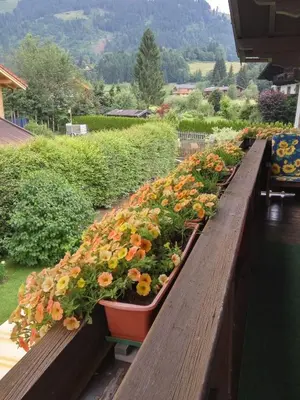 Ein allgemeiner Bergblick oder ein Berglick von der Ferienwohnung aus