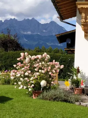 Ein allgemeiner Bergblick oder ein Berglick von der Ferienwohnung aus