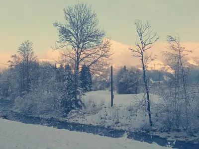 Marie Luise, Landhaus im Winter