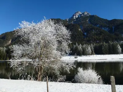 Naturlandschaft in der Nähe der Pension