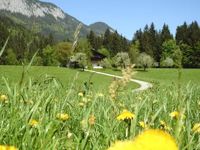 Naturlandschaft in der Nähe des Bauernhofs