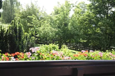 Ein Garten an der Unterkunft Haus Hager - Maria Hager
