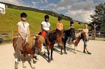 Tiere im Hotel oder in der Nähe
