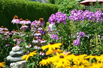 Ein Garten an der Unterkunft Appartment Schatz