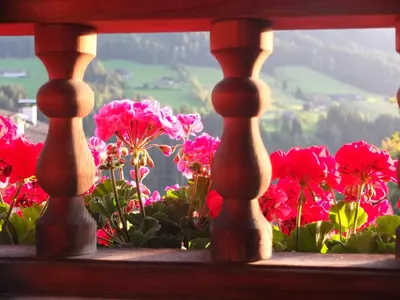 Ein allgemeiner Bergblick oder ein Berglick von der Ferienwohnung aus