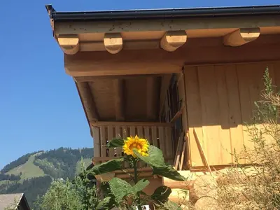 Ein allgemeiner Bergblick oder ein Berglick von des Chalets aus
