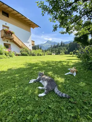 Naturlandschaft in der Nähe der Ferienwohnung