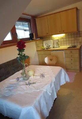 Küche/Küchenzeile in der Unterkunft Apartments Penz