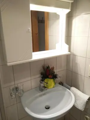 Ein Badezimmer in der Unterkunft Apartments Penz