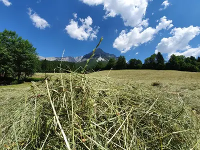 Ein allgemeiner Bergblick oder ein Berglick von des Aparthotels aus