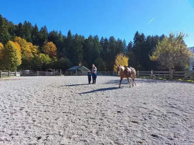 Tiere im Aparthotel oder in der Nähe