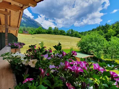 Ein Garten an der Unterkunft Grubhof Appartements