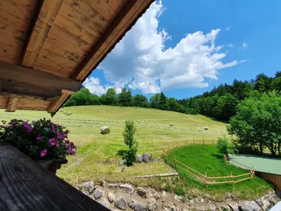 Naturlandschaft in der Nähe des Aparthotels